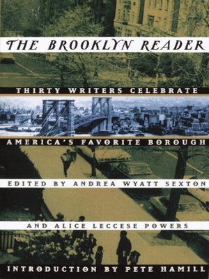 cover image of The Brooklyn Reader